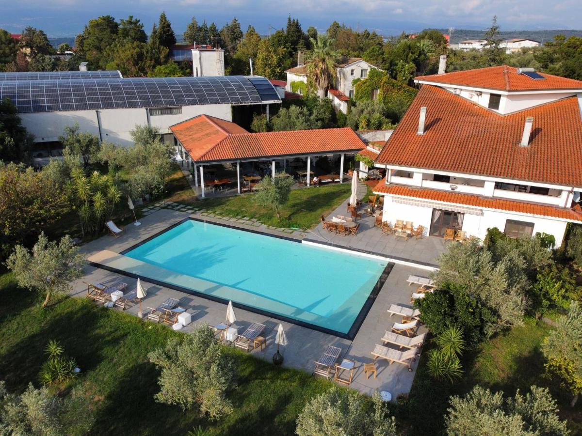 Agriturismo Costantino Maida Exterior foto
